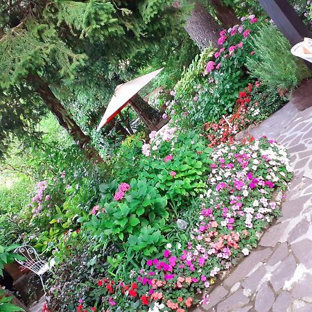 Albergo La Baita Corfino المظهر الخارجي الصورة